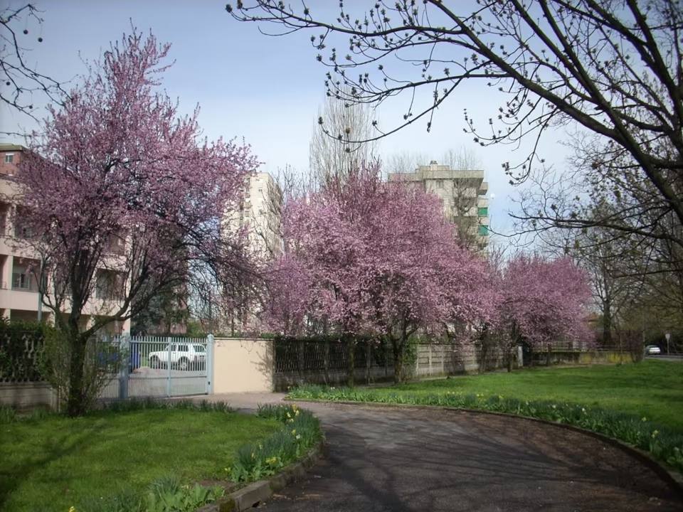 Uno scorcio del quartiere Bruzzano a Milano
